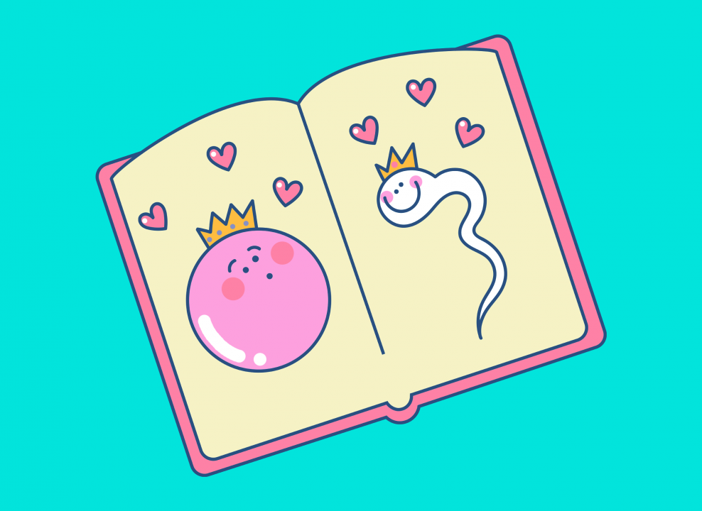 Иллюстрациия НЭН: в книге изображены сперматозоид и яйцеклетка в коронах и сердечках