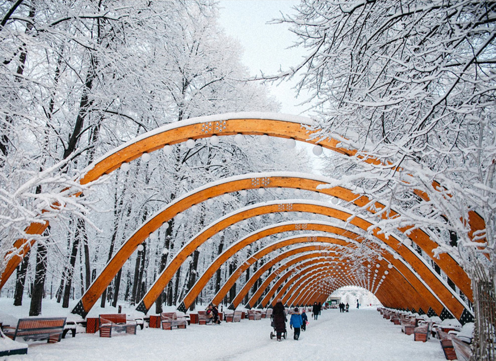На фото зимний парк. Источник: parksokolniki.mos.ru