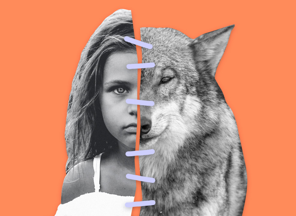 На картинке: девочка и волк сшиты в одно целое. Коллаж Лизы Стрельцовой для НЭН