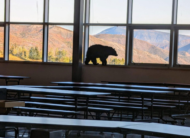 Фото: Aspen Middle school