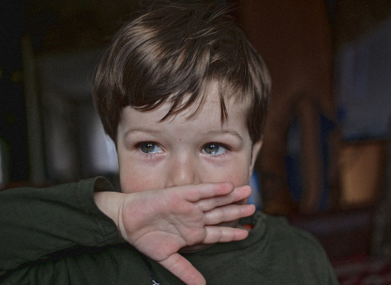 Фото: Evgeniy Sarafanov | Shutterstock | Fotodom