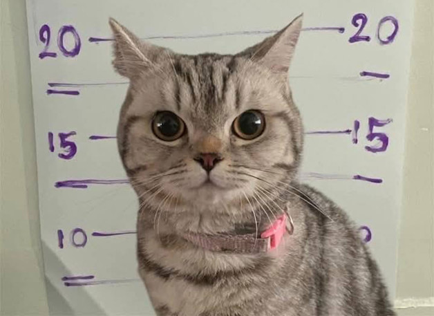 Фото: соцсети