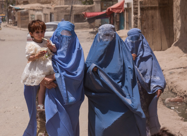 Фото: timsimages.uk | Shutterstock | Fotodom