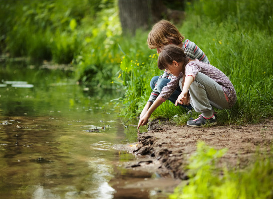Фото: Dimedrol68 | Shutterstock | Fotodom