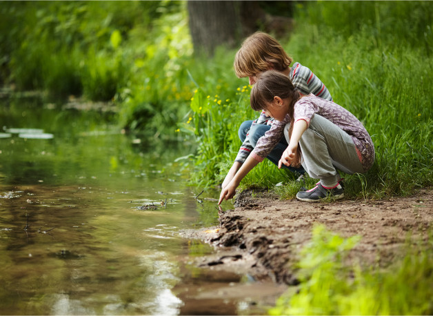 Фото: Dimedrol68 | Shutterstock | Fotodom