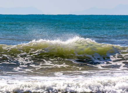 Фото: Vlad Rakin | Shutterstock | Fotodom