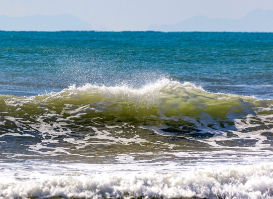 Фото: Vlad Rakin | Shutterstock | Fotodom