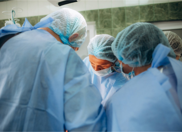 Фото: Roman Fenton | Shutterstock | Fotodom