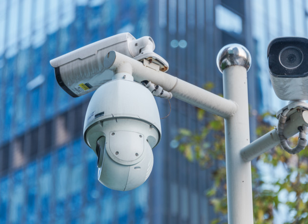 Фото: fanjianhua | Shutterstock | Fotodom