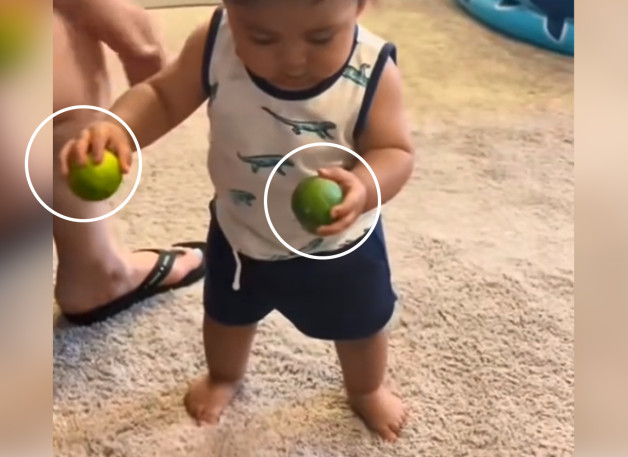 Скриншот: @thebabypt | TikTok