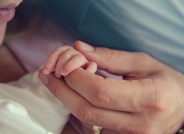 Фото: erdem kaya | Shutterstock | Fotodom