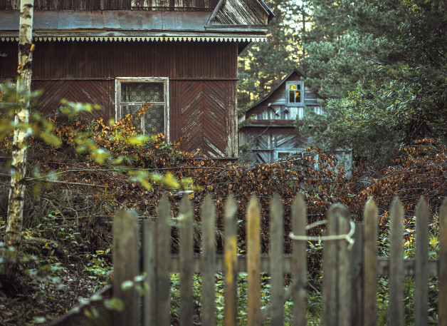 Фото: Svetliy | Shutterstock | Fotodom