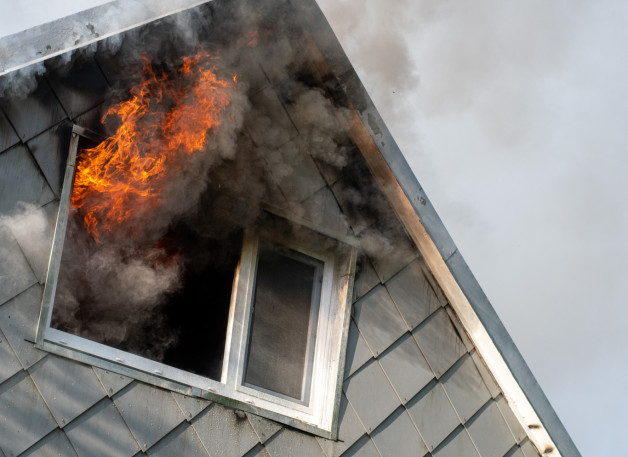 Фото: TLF | Shutterstock | Fotodom