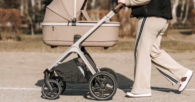 Фото: Shchus | Shutterstock | Fotodom