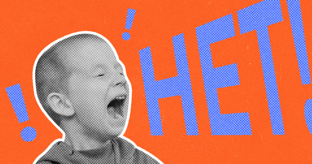 Коллаж с фото: Ekaterina Mamontova M2K | Shutterstock | Fotodom