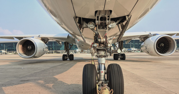 Фото: Sarmiko.id | Shutterstock | Fotodom