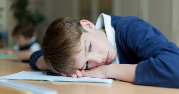 Фото: RimDream | Shutterstock | Fotodom