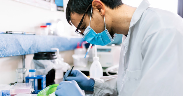 Фото: viviana loza | Shutterstock | Fotodom