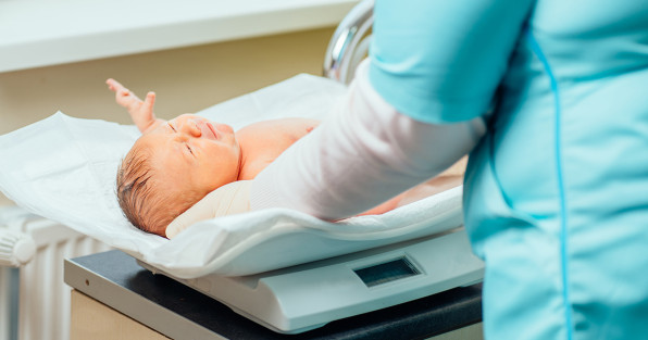 Фото: Child-scales | Shutterstock | Fotodom