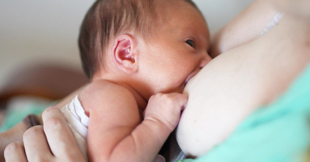 Фото: maxim ibragimov | Shutterstock | Fotodom