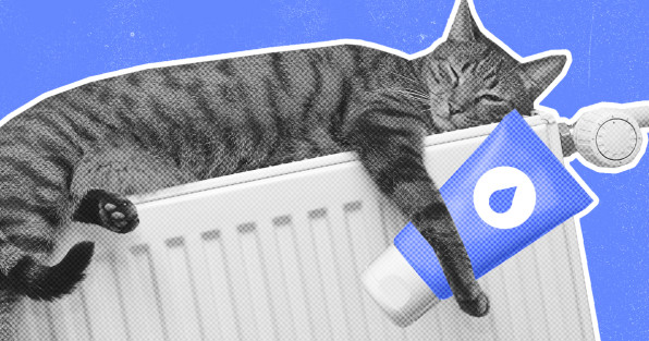 Коллаж с фото: Xseon | Aanush | Shutterstock | Fotodom