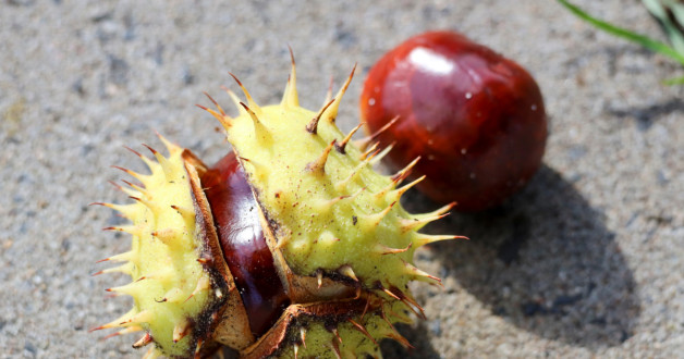 Фото: Andre Muller | Shutterstock | Fotodom