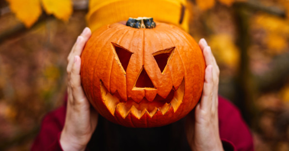 Фото: ALEX_UGALEK | Shutterstock | Fotodom