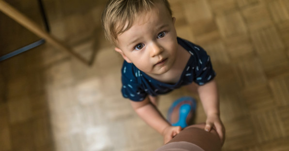 Фото: Dragana Gordic | Shutterstock | Fotodom