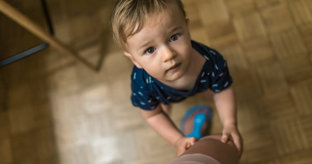 Фото: Dragana Gordic | Shutterstock | Fotodom