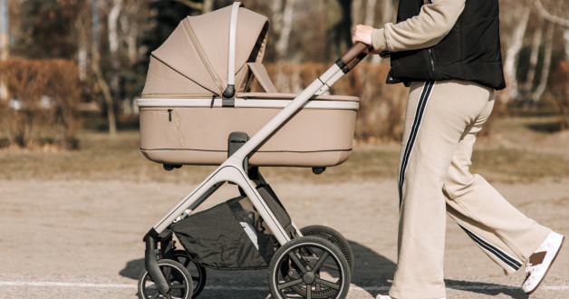 Фото: Shchus | Shutterstock | Fotodom