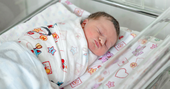 Фото: Vladislav_F | Shutterstock | Fotodom