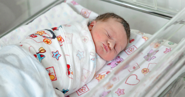 Фото: Vladislav_F | Shutterstock | Fotodom