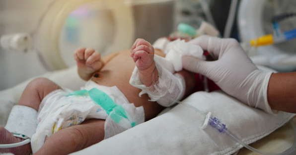 Фото: Pasonglit Junuan | Shutterstock | Fotodom