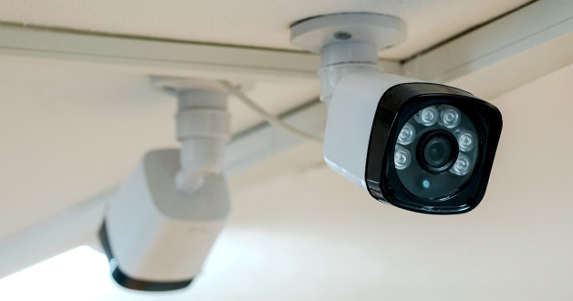 Фото: Stock 365 | Shutterstock | Fotodom