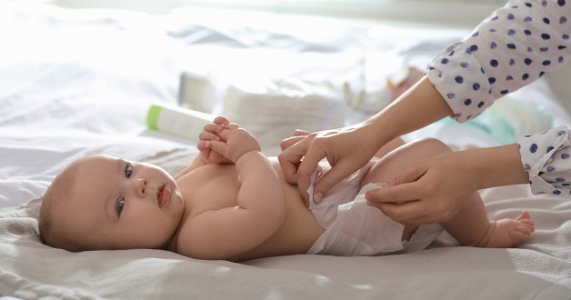 Фото: New Africa | Shutterstock | Fotodom