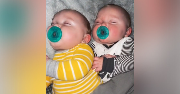 Скриншот: brennagrund | TikTok