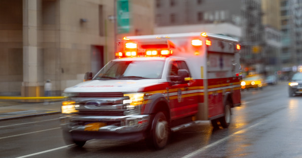 Фото: bodrumsurf | Shutterstock | Fotodom