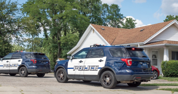 Фото: Susan Law Cain | Shutterstock | Fotodom