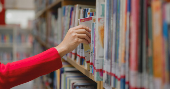 Фото: Mdisk | Shutterstock | Fotodom