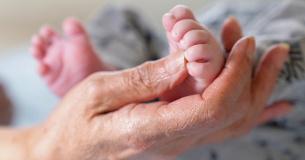 Фото: fatir29 | Shutterstock | Fotodom