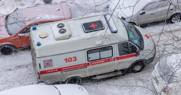 Фото: hodim | Shutterstock | Fotodom