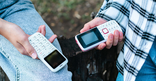 Фото: Rui Elena | Shutterstock | Fotodom