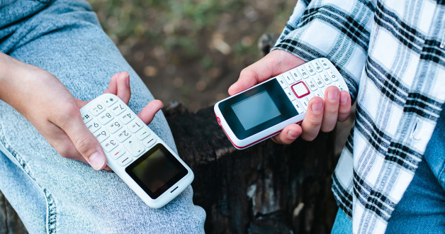 Фото: Rui Elena | Shutterstock | Fotodom