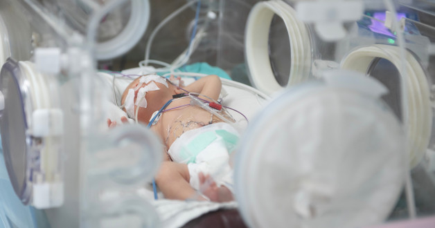 Фото: Pasonglit Junuan | Shutterstock | Fotodom