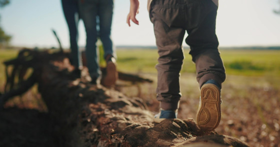 Фото: ibragimova | Shutterstock | Fotodom