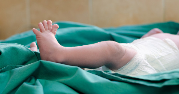 Фото: Inez Carter | Shutterstock | Fotodom