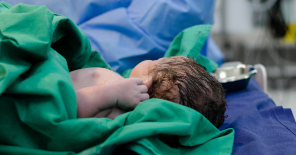 Фото: Inez Carter | Shutterstock | Fotodom