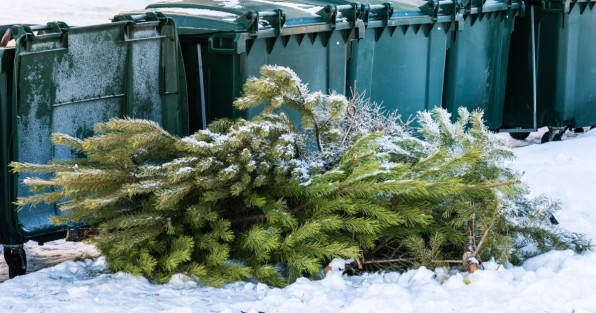 Фото: Adria Black | Shutterstock | Fotodom