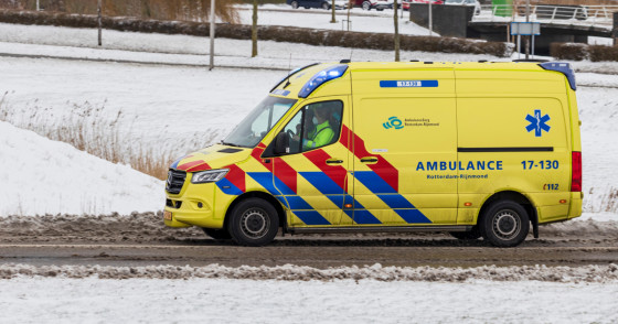 Фото: Edwin Muller Photography | Shutterstock | Fotodom