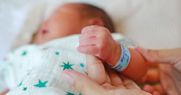 Фото: GOLFX | Shutterstock | Fotodom